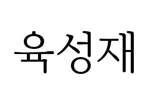 KPOP BTOB(비투비、ビートゥービー) 성재 (ソンジェ) 応援ボード・うちわ　韓国語/ハングル文字型紙 通常