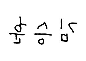 KPOP CIX(씨아이엑스、シーアイエックス) 김승훈 (スンフン) k-pop 応援ボード メッセージ 型紙 左右反転