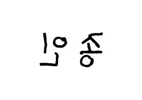 KPOP EXO(엑소、エクソ) 카이 (カイ) k-pop アイドル名前 ファンサボード 型紙 左右反転