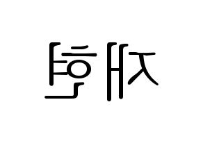 KPOP Golden Child(골든차일드、ゴールデン・チャイルド) 봉재현 (ジェヒョン) 応援ボード・うちわ　韓国語/ハングル文字型紙 左右反転