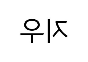KPOP KARD(카드、カード) 전지우 (チョン・ジウ) コンサート用　応援ボード・うちわ　韓国語/ハングル文字型紙 左右反転