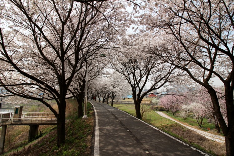 　イベントはありませんが人は多いです。人が移ってない写真が撮りたかったんですが、人がずっと通っていて大変でした。