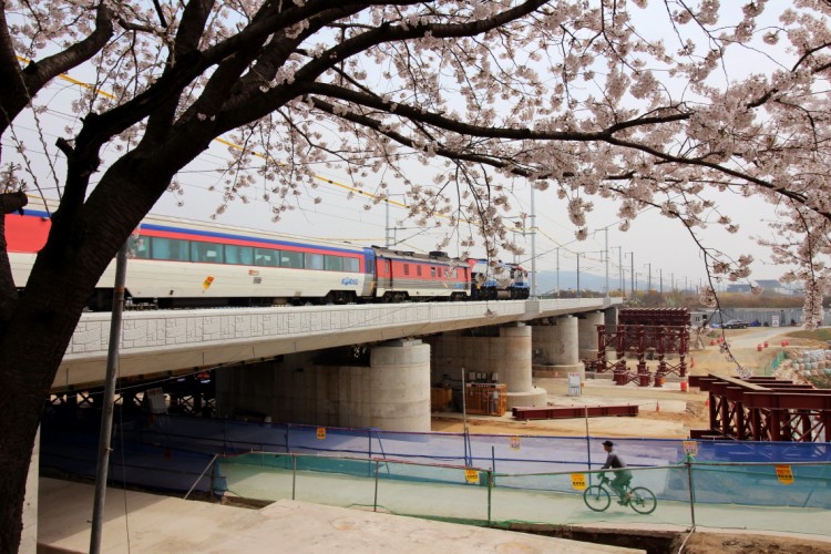 　桜道の最後には線路がありました。