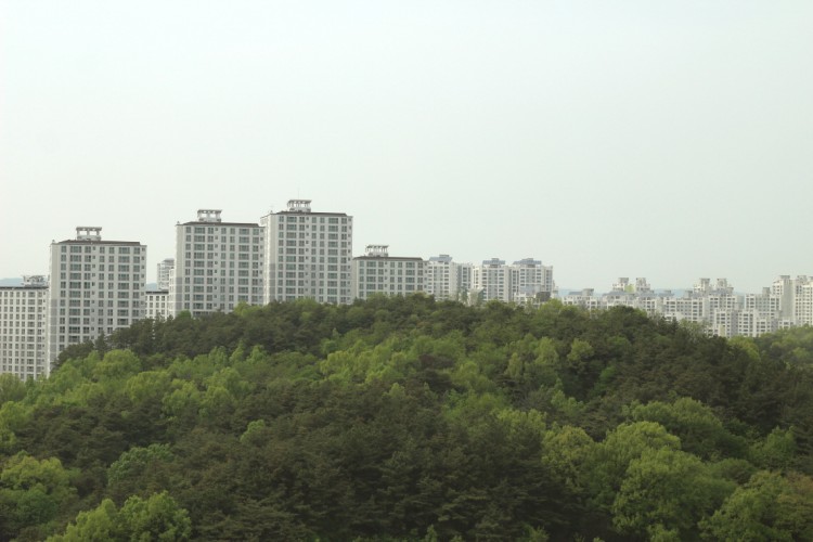 世宗市の風景