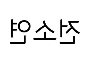 KPOP (G)I-DLE((여자)아이들、(ヨジャ)アイドゥル) 소연 (ソヨン) コンサート用　応援ボード・うちわ　韓国語/ハングル文字型紙 左右反転