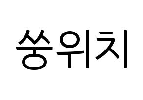 KPOP (G)I-DLE((여자)아이들、(ヨジャ)アイドゥル) 우기 (ウギ) コンサート用　応援ボード・うちわ　韓国語/ハングル文字型紙 通常