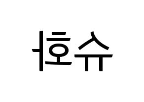 KPOP (G)I-DLE((여자)아이들、(ヨジャ)アイドゥル) 슈화 (シュファ) コンサート用　応援ボード・うちわ　韓国語/ハングル文字型紙 左右反転