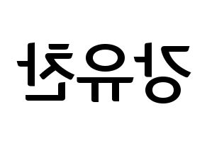 KPOP A.C.E(에이스、エース) 찬 (チャン) k-pop アイドル名前 ファンサボード 型紙 左右反転