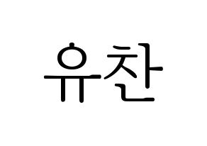 KPOP A.C.E(에이스、エース) 찬 (チャン) 応援ボード・うちわ　韓国語/ハングル文字型紙 通常
