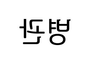 KPOP A.C.E(에이스、エース) 김병관 (キム・ビョングァン) プリント用応援ボード型紙、うちわ型紙　韓国語/ハングル文字型紙 左右反転