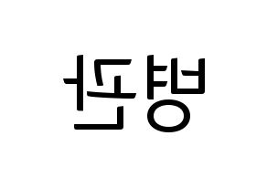 KPOP A.C.E(에이스、エース) 김병관 (キム・ビョングァン) コンサート用　応援ボード・うちわ　韓国語/ハングル文字型紙 左右反転