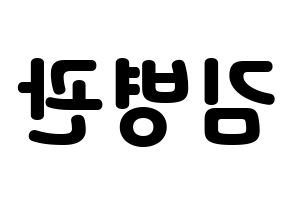 KPOP A.C.E(에이스、エース) 김병관 (キム・ビョングァン) 応援ボード・うちわ　韓国語/ハングル文字型紙 左右反転