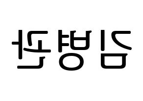 KPOP A.C.E(에이스、エース) 김병관 (キム・ビョングァン) プリント用応援ボード型紙、うちわ型紙　韓国語/ハングル文字型紙 左右反転
