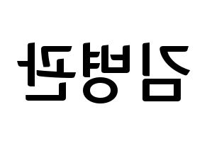 KPOP A.C.E(에이스、エース) 김병관 (キム・ビョングァン) k-pop アイドル名前 ファンサボード 型紙 左右反転