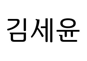 KPOP A.C.E(에이스、エース) 와우 (ワウ) プリント用応援ボード型紙、うちわ型紙　韓国語/ハングル文字型紙 通常