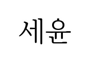 KPOP A.C.E(에이스、エース) 와우 (ワウ) 応援ボード・うちわ　韓国語/ハングル文字型紙 通常