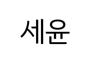 KPOP A.C.E(에이스、エース) 와우 (ワウ) コンサート用　応援ボード・うちわ　韓国語/ハングル文字型紙 通常