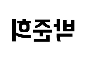 KPOP A.C.E(에이스、エース) 준 (ジュン) k-pop アイドル名前 ファンサボード 型紙 左右反転