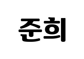 KPOP A.C.E(에이스、エース) 준 (ジュン) コンサート用　応援ボード・うちわ　韓国語/ハングル文字型紙 通常