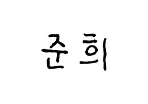 KPOP A.C.E(에이스、エース) 준 (ジュン) k-pop アイドル名前 ファンサボード 型紙 通常