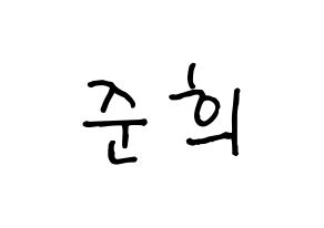 KPOP A.C.E(에이스、エース) 준 (ジュン) k-pop 応援ボード メッセージ 型紙 通常