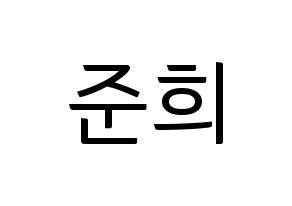 KPOP A.C.E(에이스、エース) 준 (ジュン) コンサート用　応援ボード・うちわ　韓国語/ハングル文字型紙 通常