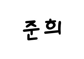 KPOP A.C.E(에이스、エース) 준 (ジュン) 名前 応援ボード 作り方 通常