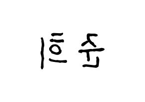 KPOP A.C.E(에이스、エース) 준 (ジュン) k-pop アイドル名前 ファンサボード 型紙 左右反転