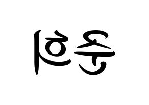 KPOP A.C.E(에이스、エース) 준 (ジュン) k-pop 応援ボード メッセージ 型紙 左右反転