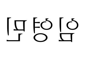 KPOP AB6IX(에이비식스、エイビーシックス) 영민 (ヨンミン) 応援ボード・うちわ　韓国語/ハングル文字型紙 左右反転