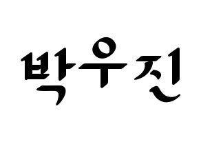 KPOP AB6IX(에이비식스、エイビーシックス) 우진 (ウジン) 応援ボード ハングル 型紙  通常