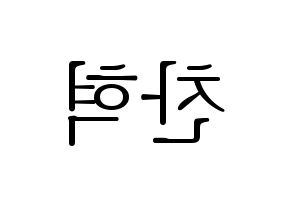 KPOP AKMU(악동뮤지션、アクドンミュージシャン) 이찬혁 (イ・チャンヒョク) 応援ボード・うちわ　韓国語/ハングル文字型紙 左右反転