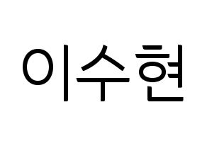 KPOP AKMU(악동뮤지션、アクドンミュージシャン) 이수현 (イ・スヒョン) コンサート用　応援ボード・うちわ　韓国語/ハングル文字型紙 通常