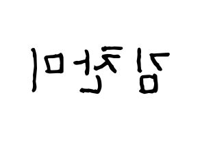 KPOP AOA(에이오에이、エイオーエイ) 찬미 (チャンミ) k-pop アイドル名前 ファンサボード 型紙 左右反転