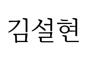 KPOP AOA(에이오에이、エイオーエイ) 설현 (ソリョン) 応援ボード・うちわ　韓国語/ハングル文字型紙 通常
