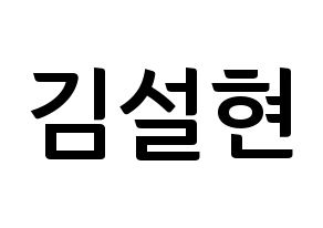KPOP AOA(에이오에이、エイオーエイ) 설현 (ソリョン) k-pop アイドル名前 ファンサボード 型紙 通常