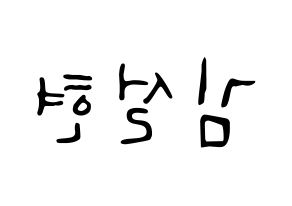 KPOP AOA(에이오에이、エイオーエイ) 설현 (ソリョン) 応援ボード ハングル 型紙  左右反転