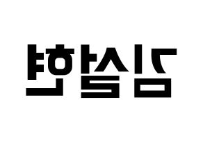 KPOP AOA(에이오에이、エイオーエイ) 설현 (ソリョン) k-pop アイドル名前 ファンサボード 型紙 左右反転