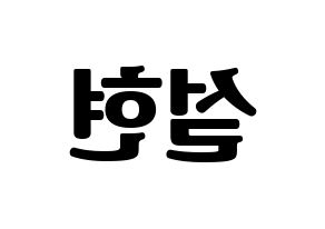 KPOP AOA(에이오에이、エイオーエイ) 설현 (ソリョン) コンサート用　応援ボード・うちわ　韓国語/ハングル文字型紙 左右反転