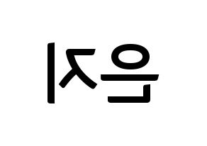 KPOP Apink(에이핑크、エーピンク) 정은지 (チョン・ウンジ) k-pop アイドル名前 ファンサボード 型紙 左右反転
