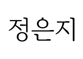 KPOP Apink(에이핑크、エーピンク) 정은지 (チョン・ウンジ) 応援ボード・うちわ　韓国語/ハングル文字型紙 通常