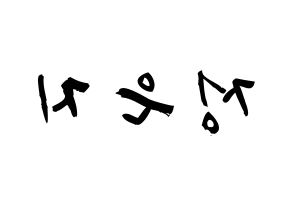 KPOP Apink(에이핑크、エーピンク) 정은지 (チョン・ウンジ, チョン・ウンジ) 応援ボード、うちわ無料型紙、応援グッズ 左右反転