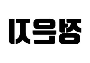 KPOP Apink(에이핑크、エーピンク) 정은지 (チョン・ウンジ) コンサート用　応援ボード・うちわ　韓国語/ハングル文字型紙 左右反転