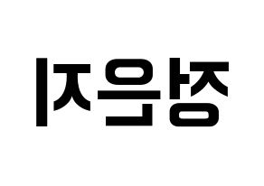 KPOP Apink(에이핑크、エーピンク) 정은지 (チョン・ウンジ) k-pop アイドル名前 ファンサボード 型紙 左右反転