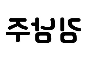 KPOP Apink(에이핑크、エーピンク) 김남주 (キム・ナムジュ) 応援ボード・うちわ　韓国語/ハングル文字型紙 左右反転