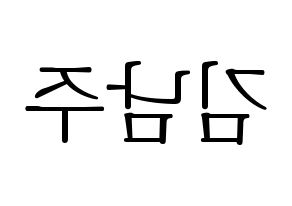 KPOP Apink(에이핑크、エーピンク) 김남주 (キム・ナムジュ) 応援ボード・うちわ　韓国語/ハングル文字型紙 左右反転
