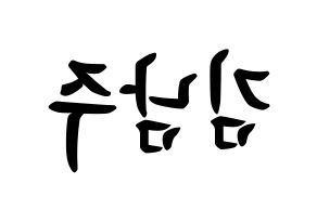 KPOP Apink(에이핑크、エーピンク) 김남주 (キム・ナムジュ, キム・ナムジュ) k-pop アイドル名前　ボード 言葉 左右反転