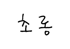 KPOP Apink(에이핑크、エーピンク) 박초롱 (パク・チョロン) k-pop 応援ボード メッセージ 型紙 通常