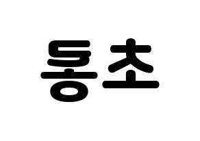 KPOP Apink(에이핑크、エーピンク) 박초롱 (パク・チョロン) 応援ボード・うちわ　韓国語/ハングル文字型紙 左右反転