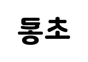 KPOP Apink(에이핑크、エーピンク) 박초롱 (パク・チョロン) 応援ボード・うちわ　韓国語/ハングル文字型紙 左右反転